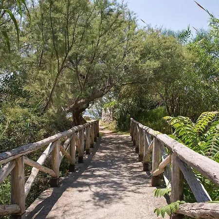 Stefania Santa Maria (Vibo Valentia)