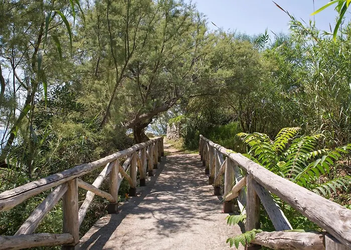 Stefania Santa Maria